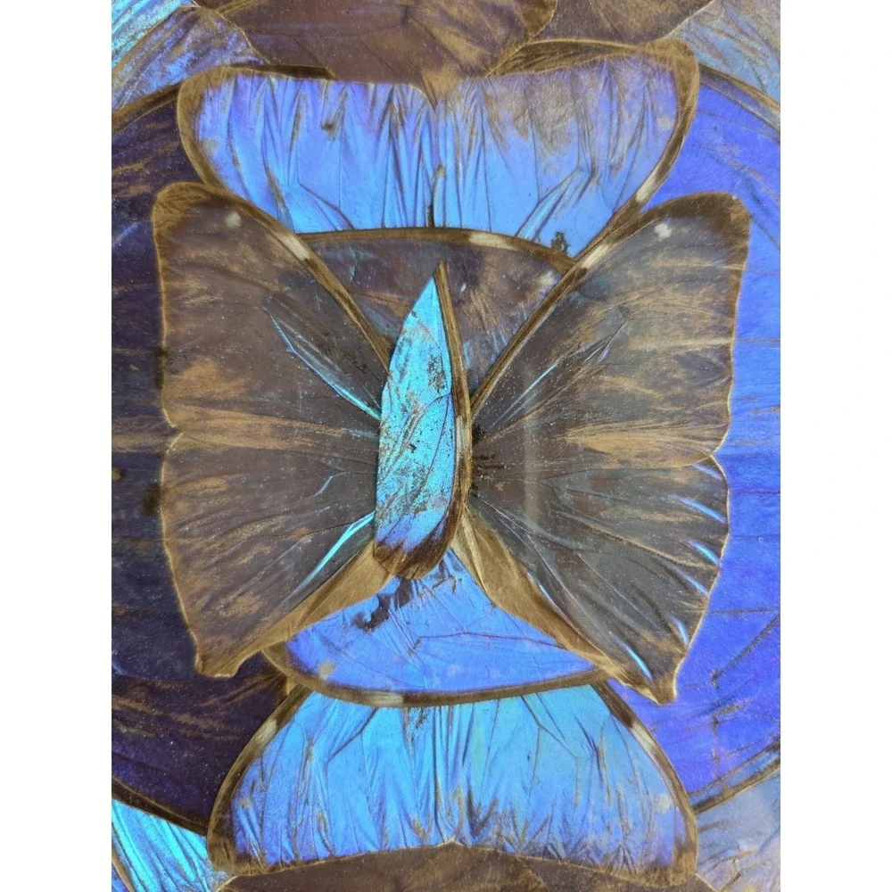VTG MCM Brazilian Butterfly‎ Wing Inlaid Wood Serving Tray 16.5